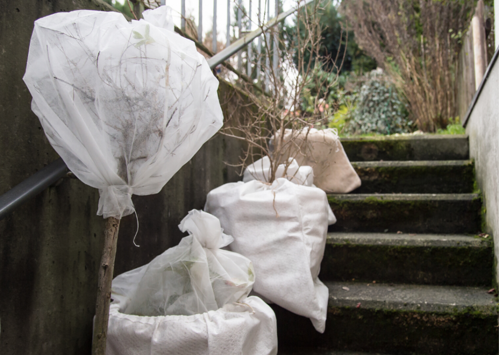 Check before you bring the entire garden inside